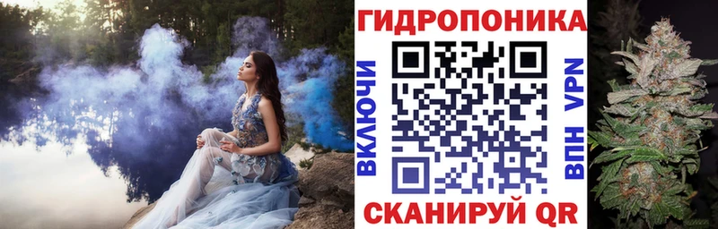 где найти   Павловск  блэк спрут как войти  Конопля конопля 